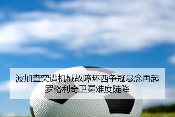 bo-jia-cha-tu-zao-ji-xie-gu-zhang-huan-xi-zheng-guan-xuan-nian-zai-qi-luo-ge-li-qi-wei-mian-nan-du-dou-jiang-2-939.jpg