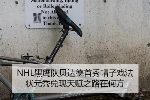 NHL黑鹰队贝达德首秀帽子戏法 状元秀兑现天赋之路在何方